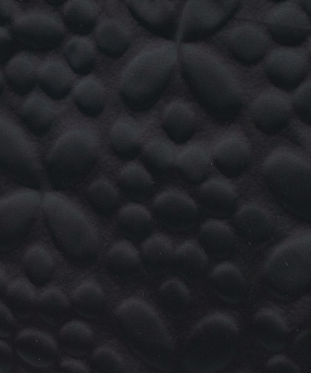 Studio photograph 12
